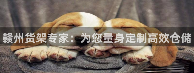 杏运平台官网