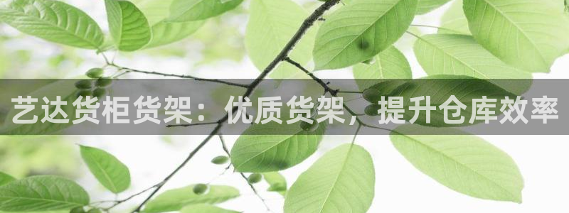 杏运注册账号