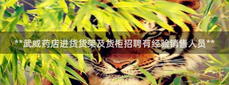 杏运注册登录