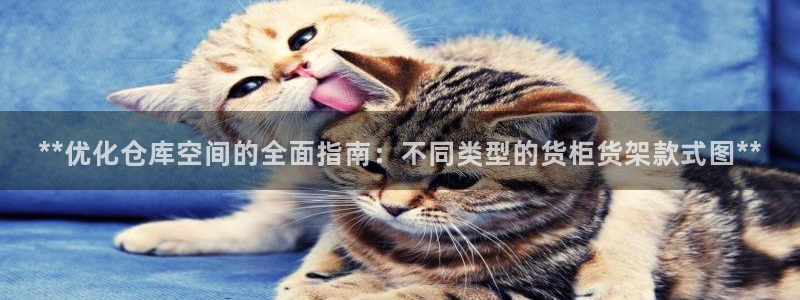 杏运平台官方网站