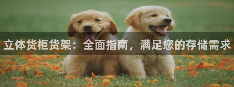 杏运代理