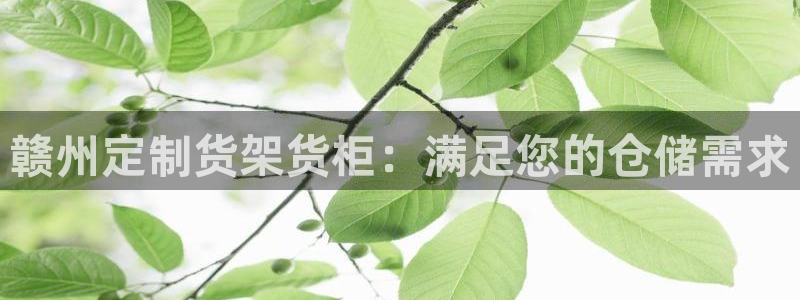 杏运体育平台正规吗安全吗