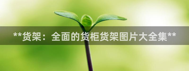 杏运娱乐平台注册地址在哪里