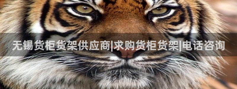 杏运注册账号