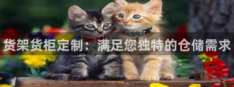 杏运注册账号