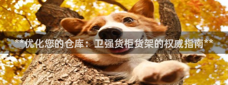 杏运汽车