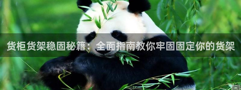 杏运相伴