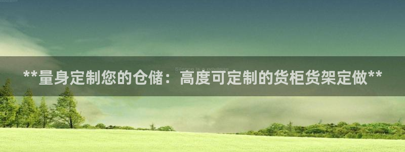 杏运汽车招商