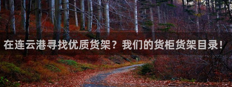杏运汽车招商