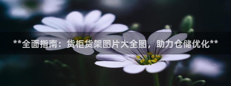 杏运体育app下载安装手机版