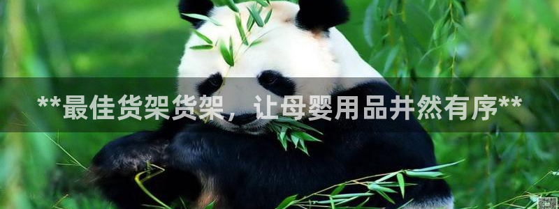 杏运体育官方网址登录