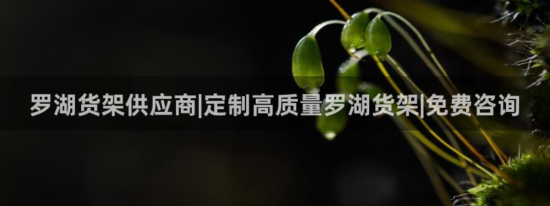 杏运平台招商