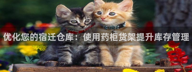 杏运体育怎么样