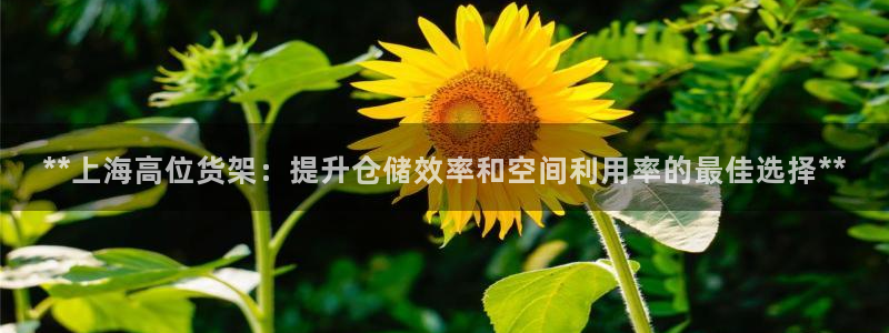 杏运汽车
