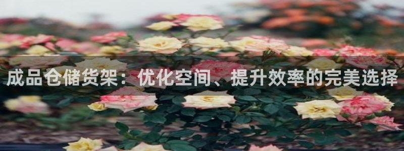杏运新能源