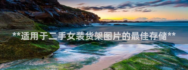 杏运注册登录地址