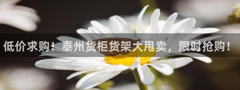 杏运注册平台