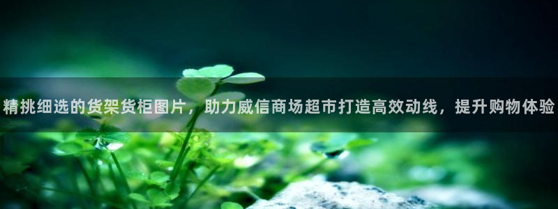 杏运登录