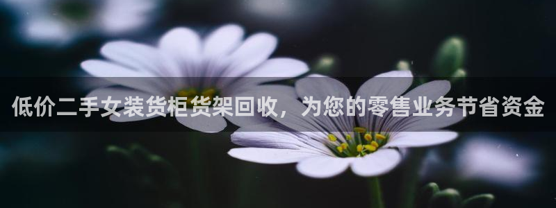 杏运相伴