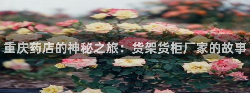 杏运体育官方网址登录
