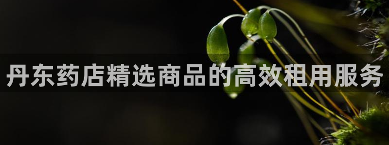 杏运体育app下载安装