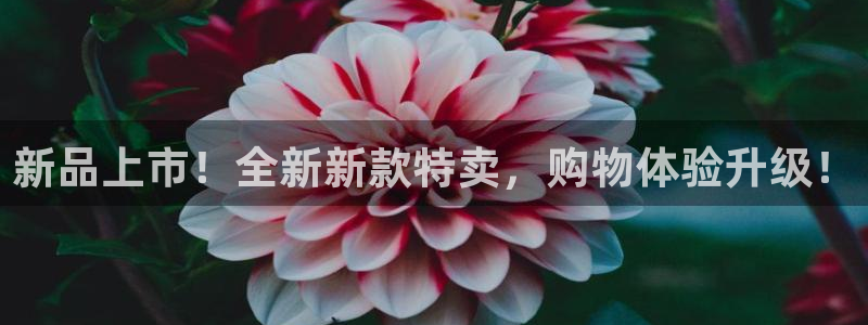 杏运娱乐平台注册地址