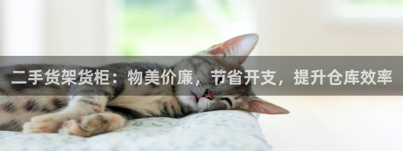 杏运体育app