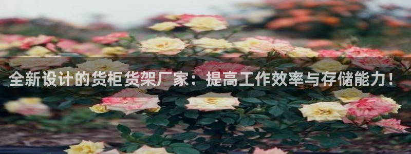 杏运代理