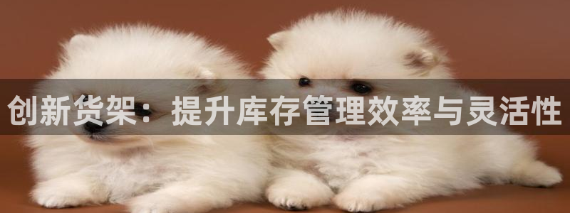 杏运体育官方网址登录