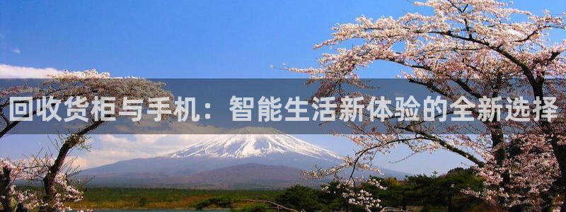 杏运汽车招商