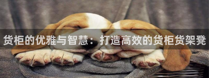 杏运注册