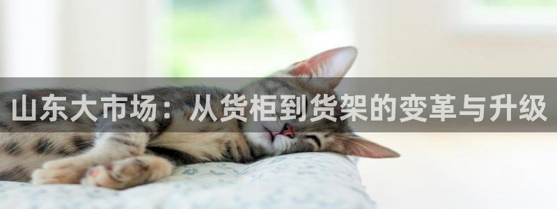 杏运登录