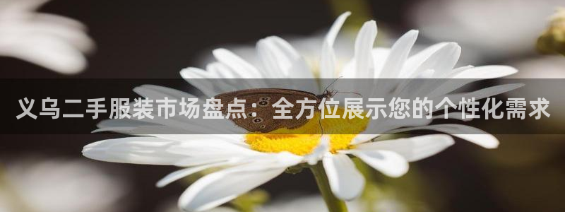 杏运体育app