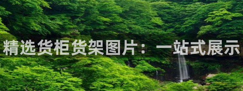 杏运相伴