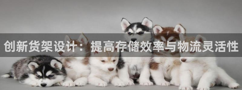 杏运注册账号：创新货架设计：提高存储效率