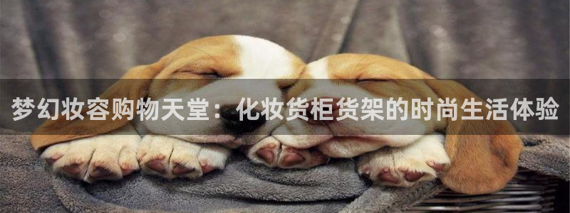 杏运汽车