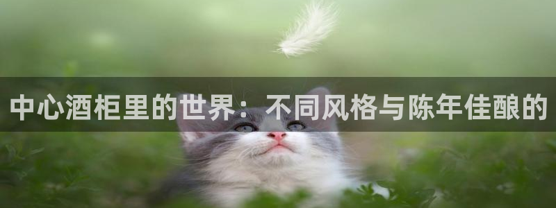 杏运体育app