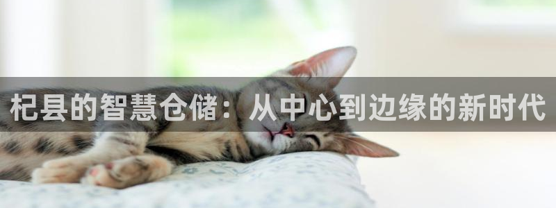 杏运体育官方网址登录