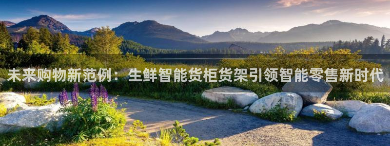 杏运娱乐平台注册地址在哪里