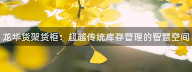 杏运体育app下载安装：龙华货架货柜：超