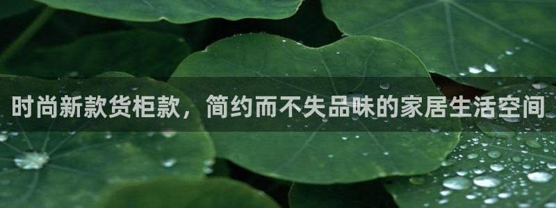 杏运代理
