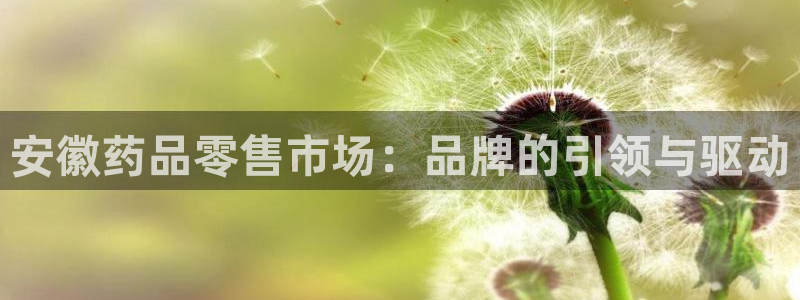 杏运平台注册登录：安徽药品零售市场：品牌