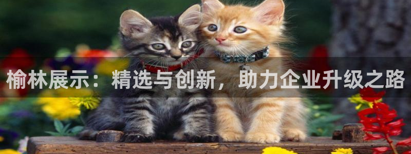 杏运登录：榆林展示：精选与创新，助力企业