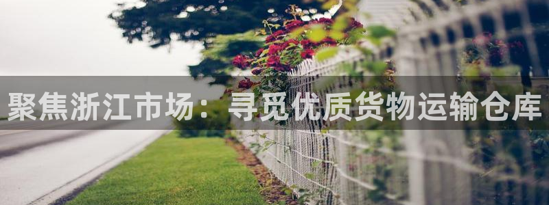 杏运新能源：聚焦浙江市场：寻觅优质货物运