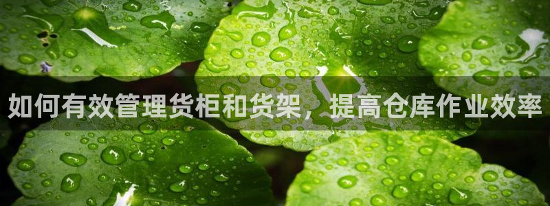杏运代理