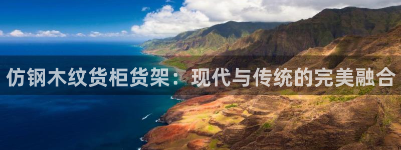 杏运平台注册：仿钢木纹货柜货架：现代与传