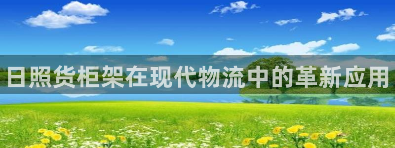 杏运娱乐：日照货柜架在现代物流中的革新应