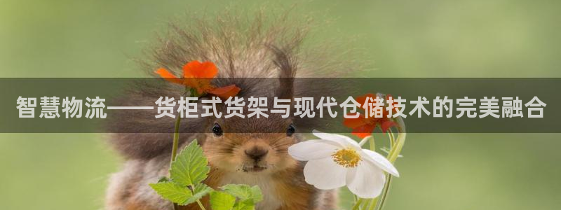 杏运体育平台正规吗安全吗可信吗