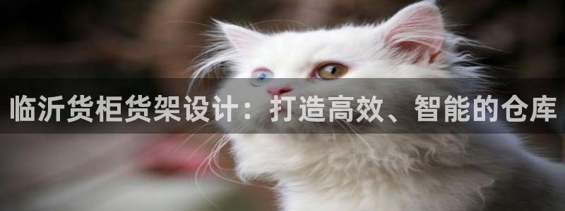 杏运体育不给出款