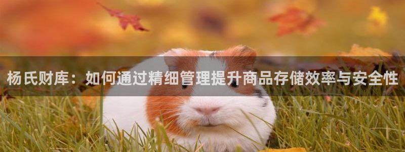 杏运体育app下载安装手机版